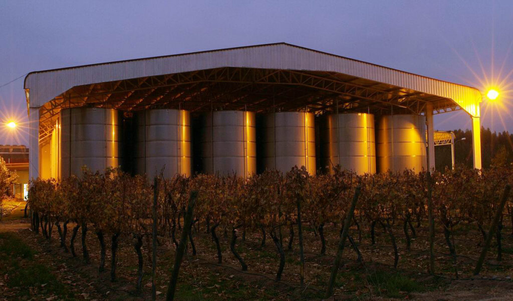 Resize-of-wineryMaola-05.jpg